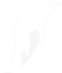 Signature Experience Agency